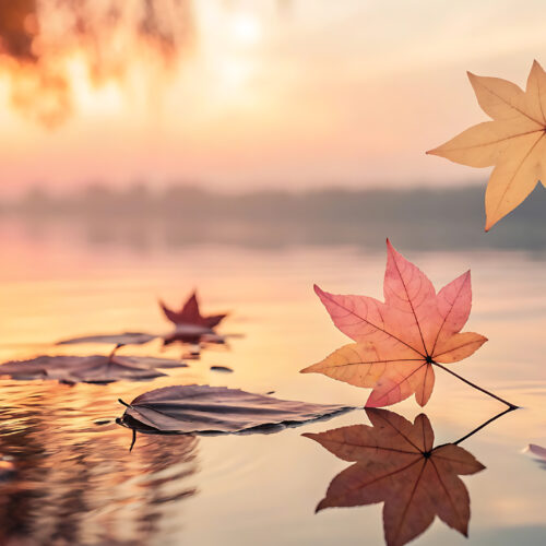 Transformational Enneagram coaching program with Natalie Snooke